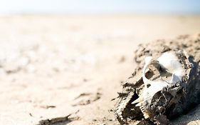 Skeleton Beach Backpackers