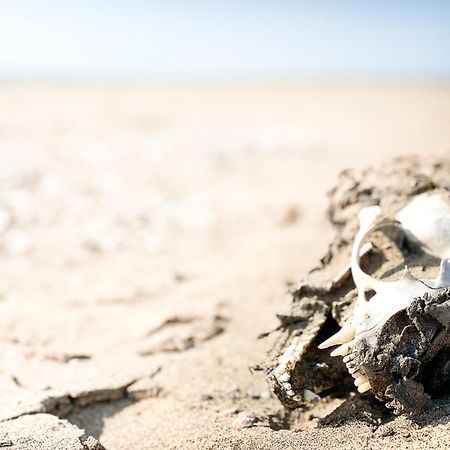 Skeleton Beach Backpackers Swakopmund Esterno foto